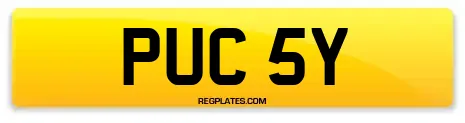 PUC 5Y