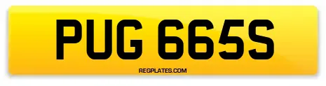 PUG 665S