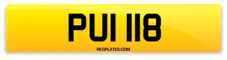 PUI 118