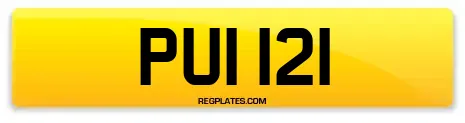 PUI 121