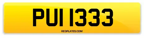 PUI 1333