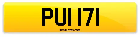 PUI 171