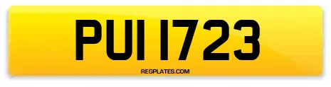 PUI 1723