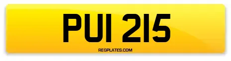 PUI 215