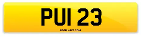 PUI 23