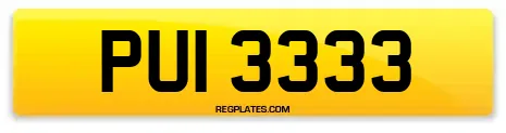 PUI 3333