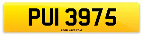PUI 3975