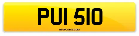 PUI 510