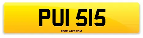 PUI 515