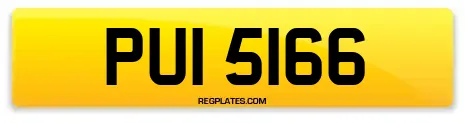 PUI 5166