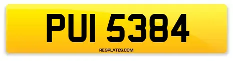 PUI 5384