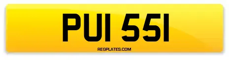 PUI 551