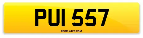 PUI 557