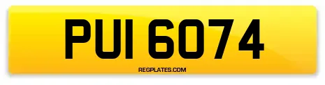 PUI 6074