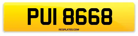 PUI 8668