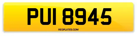 PUI 8945