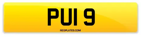 PUI 9