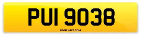 PUI 9038