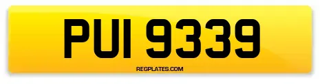 PUI 9339
