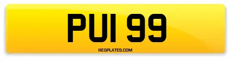 PUI 99