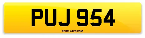 PUJ 954