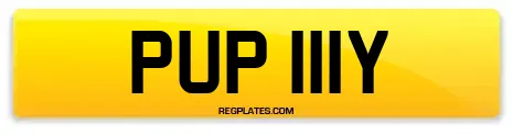 PUP 111Y