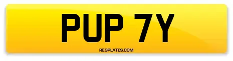 PUP 7Y