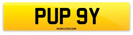 PUP 9Y