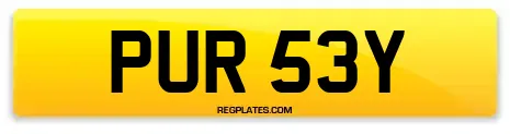 PUR 53Y