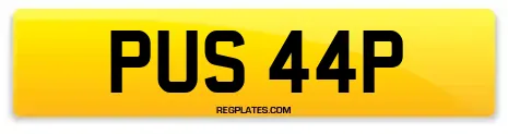 PUS 44P