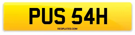 PUS 54H