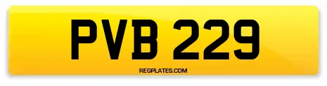 PVB 229