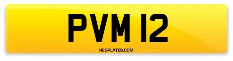 PVM 12