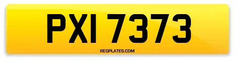 PXI 7373