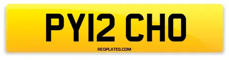 PY12 CHO