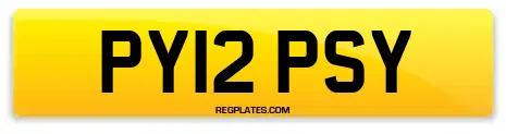 PY12 PSY