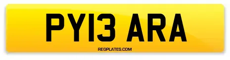 PY13 ARA