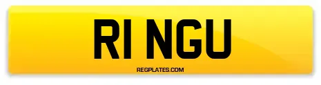R1 NGU