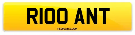 R100 ANT