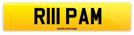 R111 PAM