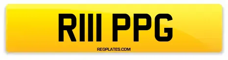 R111 PPG