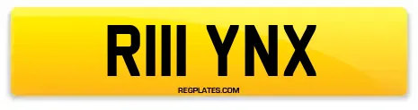 R111 YNX