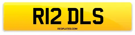 R12 DLS