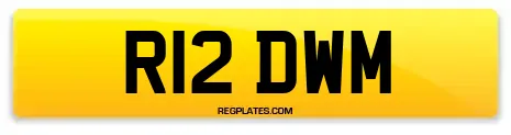 R12 DWM