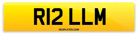 R12 LLM