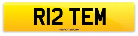 R12 TEM