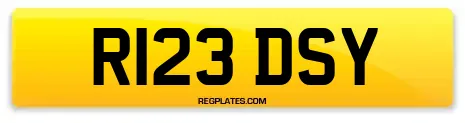 R123 DSY