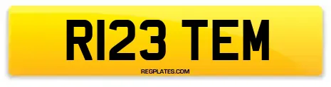 R123 TEM