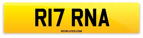 R17 RNA