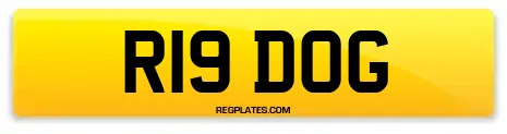 R19 DOG